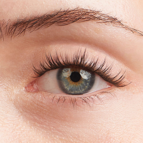 Lilac St. Hollywood Lash Extensions - on model