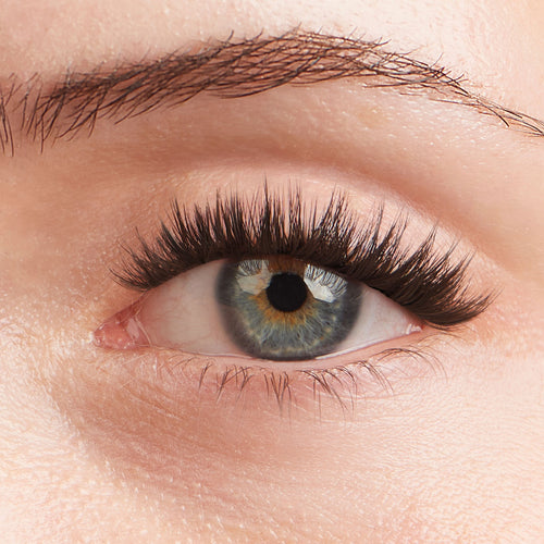 Lilac St. Icon Eyelash Extensions - on model