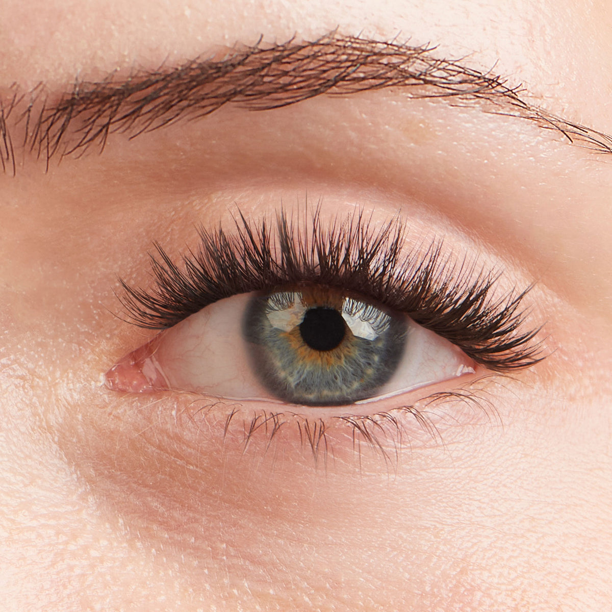 Lilac St. Midnight Lash Extensions - on model