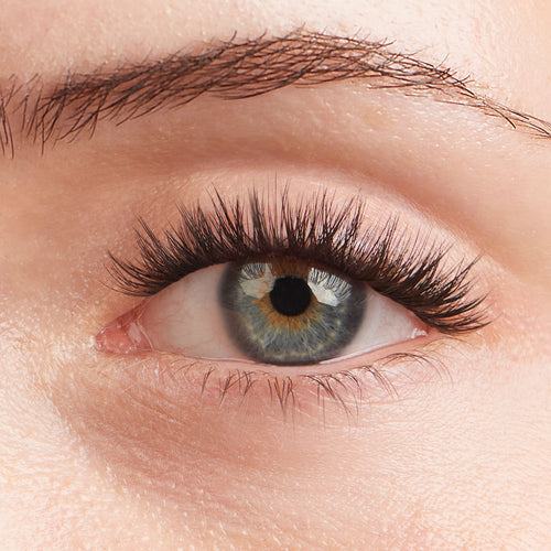Lilac St. Midnight Lash Extensions - on model