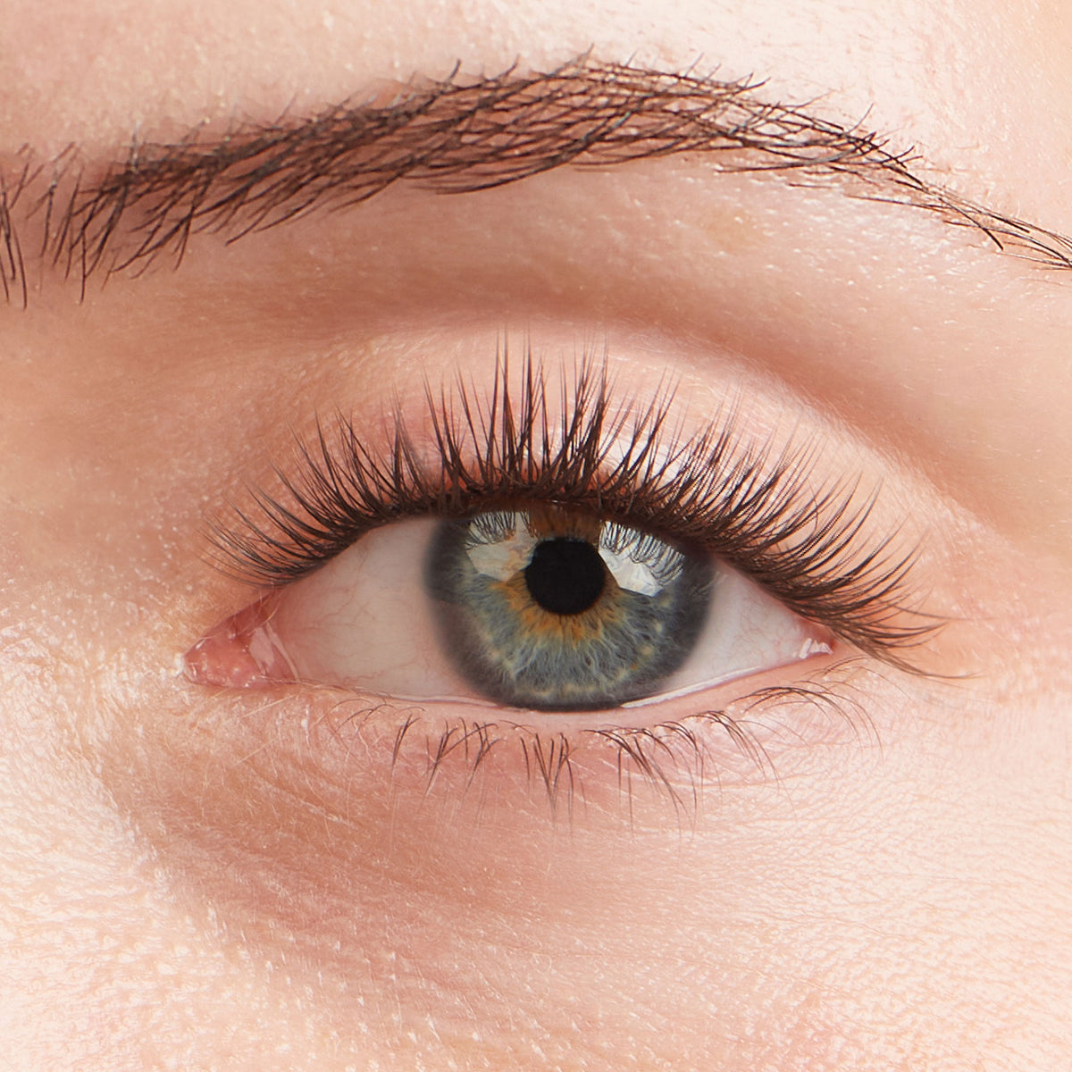 Lilac St. Originals Lash Extensions - on model