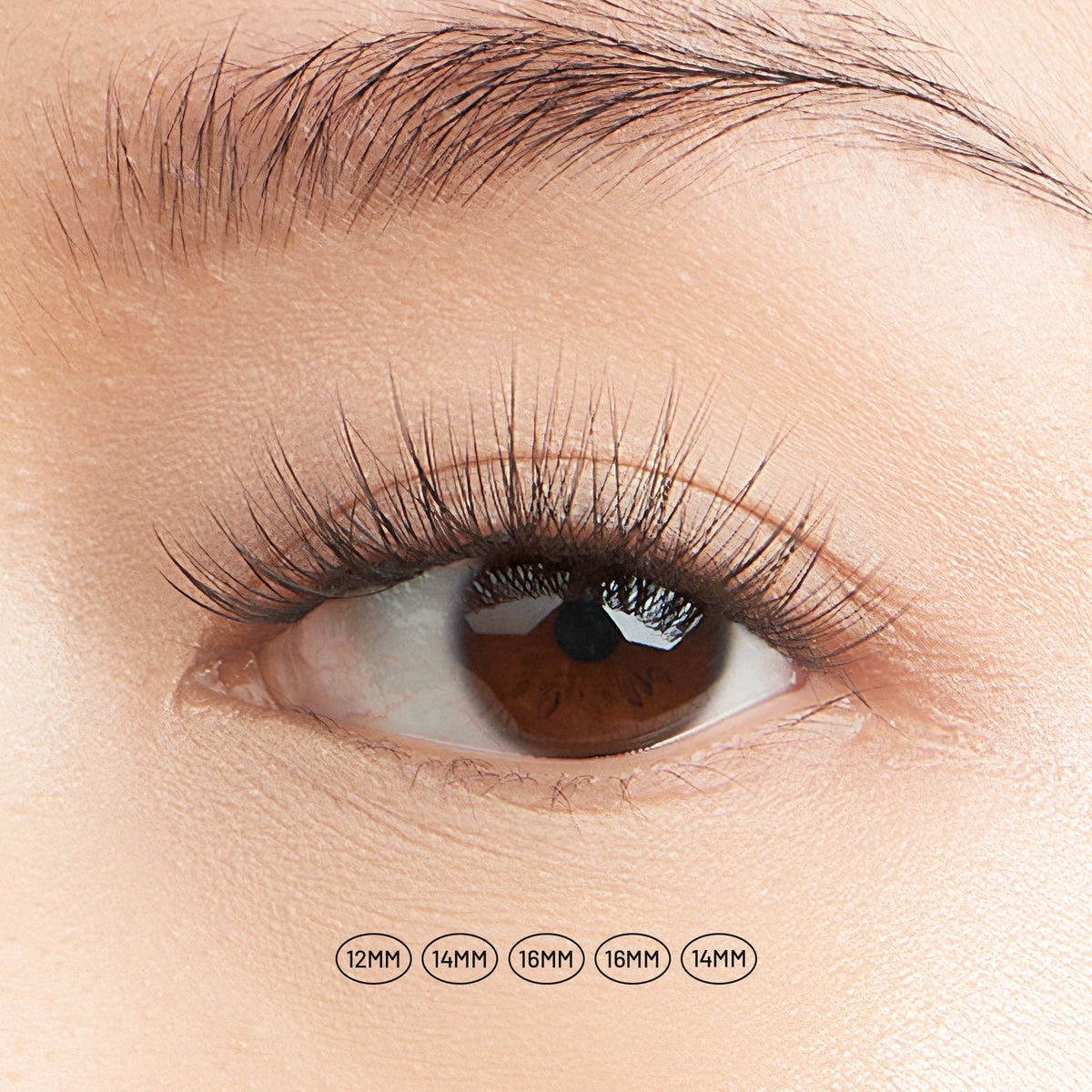 Cherie NanoSoft lash clusters on a brown eye, showing a lifted, natural look in five lengths.