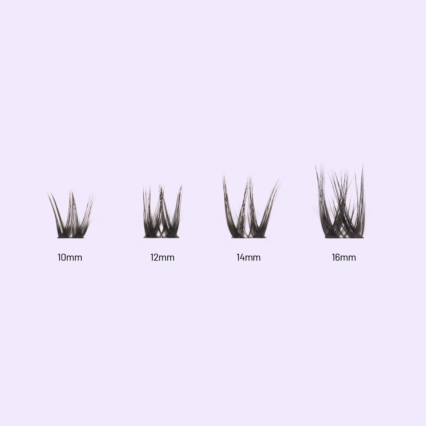 Lilac St. Daydream Eyelash Extensions different lengths