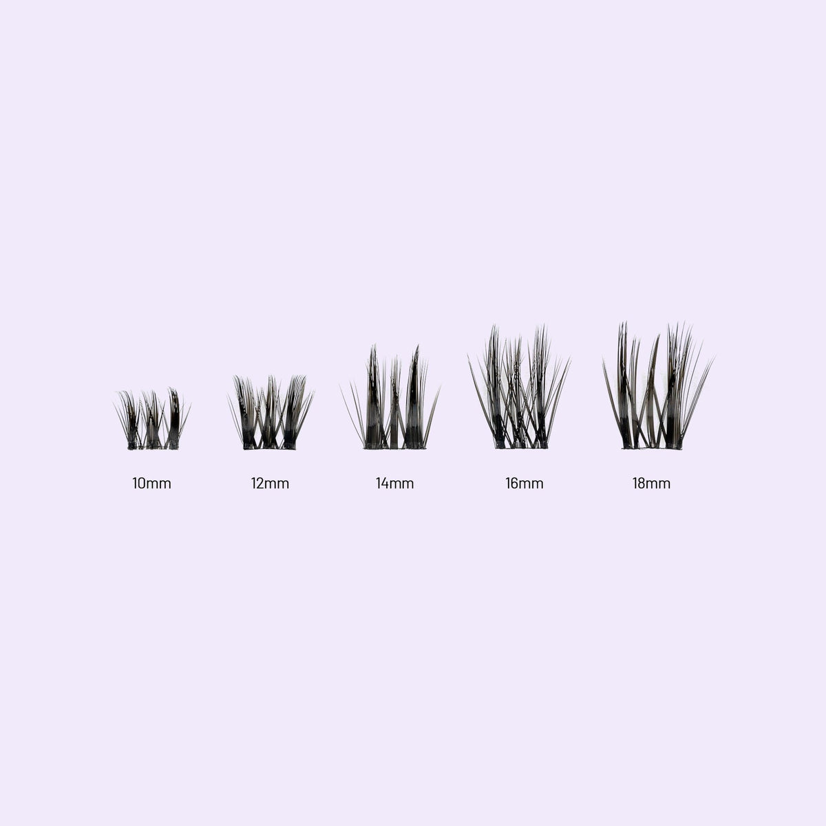 Lilac St. Brazil Eyelash Extensions different lengths