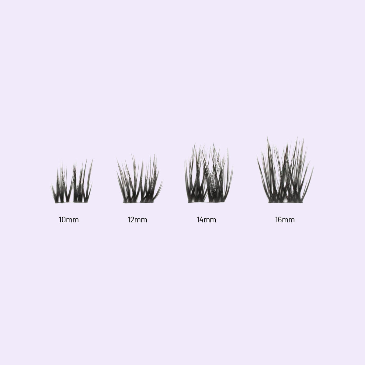 Lilac St. Volume Lash Extensions different lengths