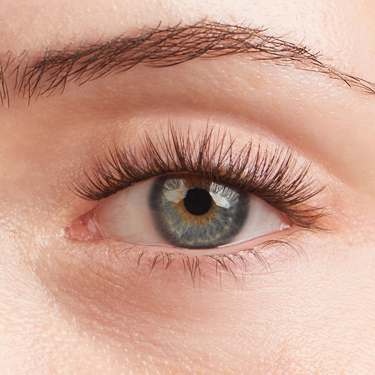 Lilac St. Originals Espresso Eyelash Extensions - on model