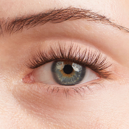 Lilac St. Originals Espresso Eyelash Extensions - on model
