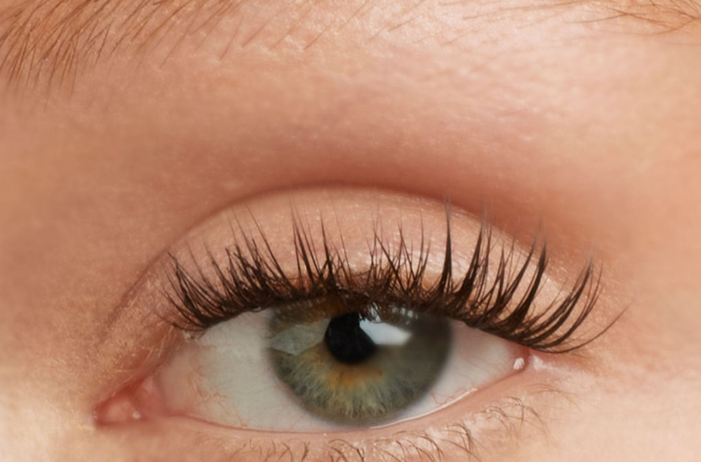 Lilac ST fluffy lash clusters