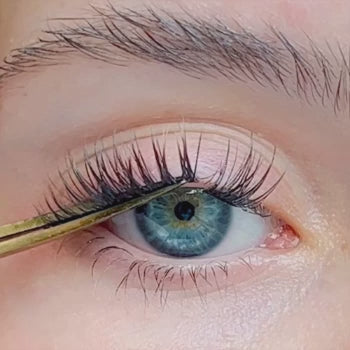 fuse and seal lashes